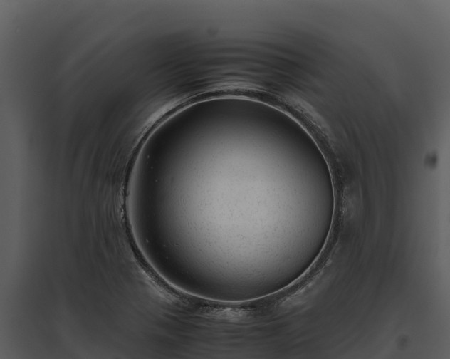 X0000095691321200801151140