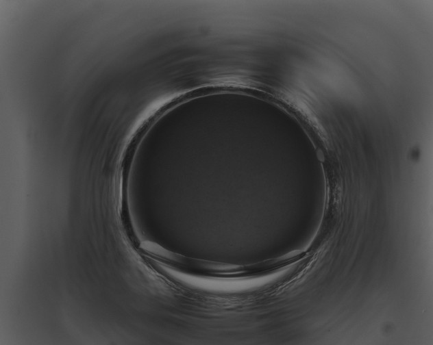 X0000095691323200801151140