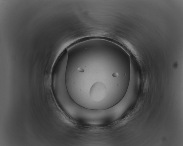 X0000095691324200801151140