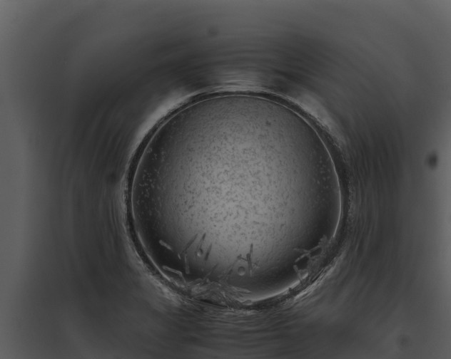 X0000095691325200801151140