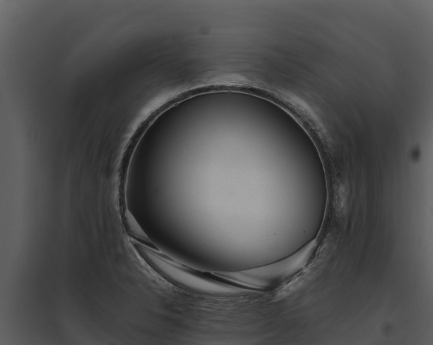 X0000095691326200801151140