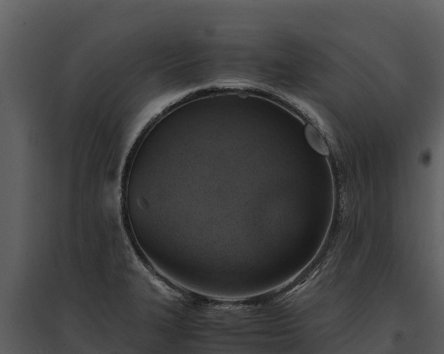 X0000095691327200801151140