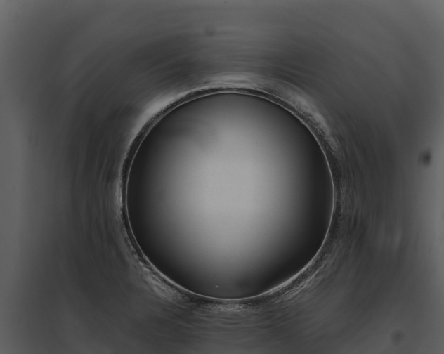 X0000095691328200801151140