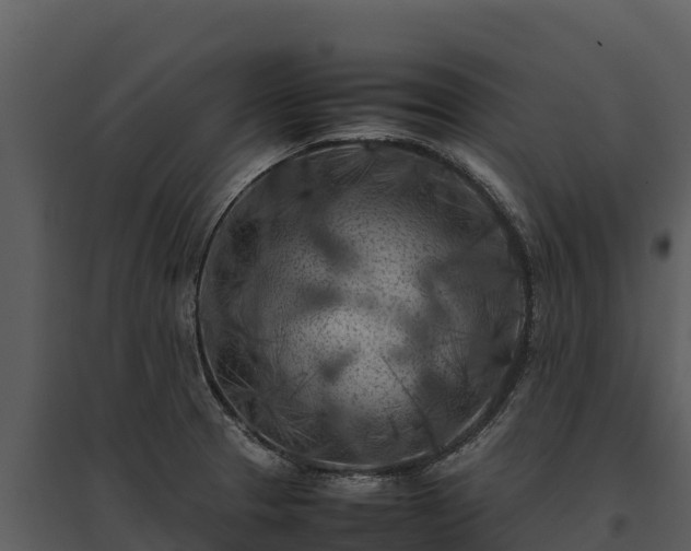 X0000095691329200801151140