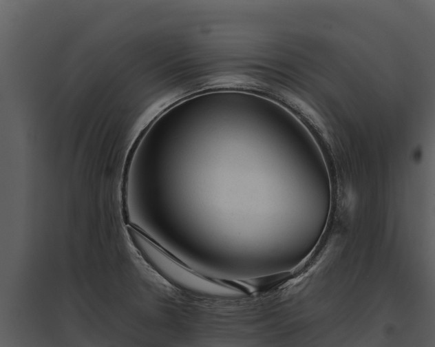 X0000095691330200801151140