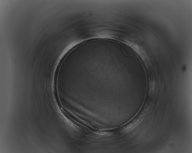 X0000095691331200801151140