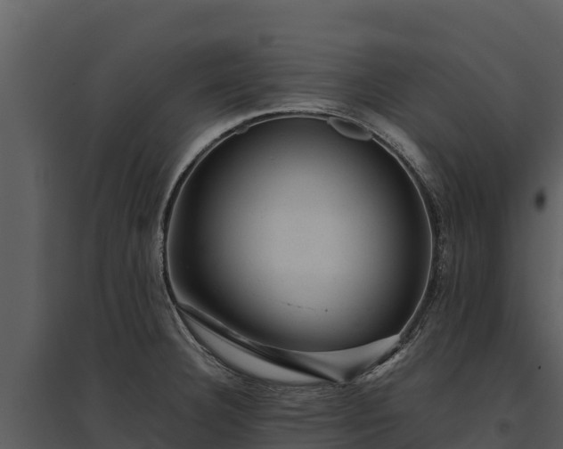 X0000095691332200801151140