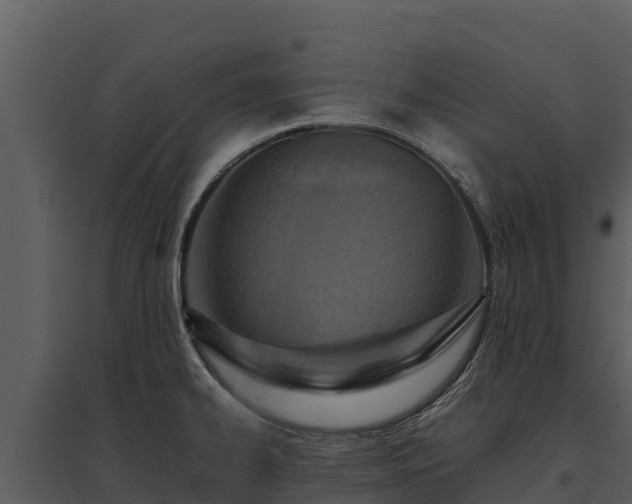 X0000095691334200801151140