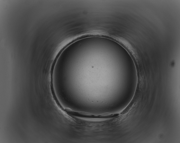 X0000095691335200801151140