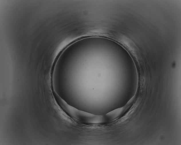 X0000095691336200801151140