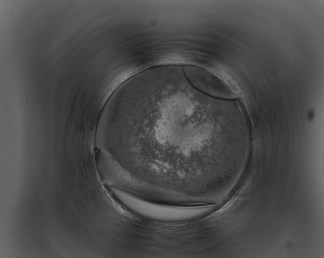 X0000095691337200801151140