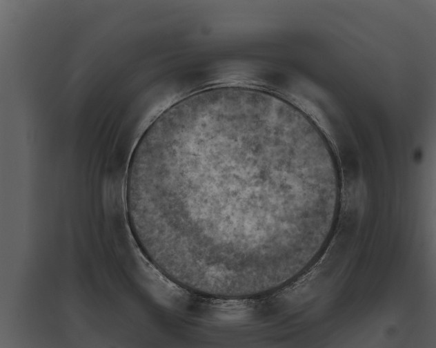 X0000095691338200801151140