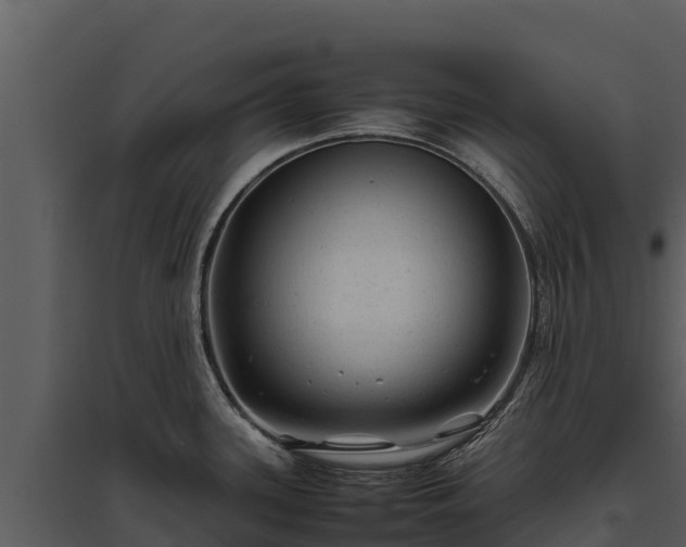 X0000095691339200801151140