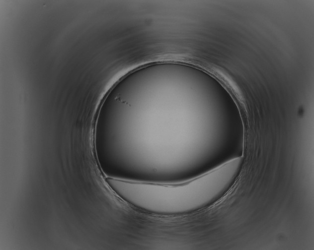 X0000095691340200801151140