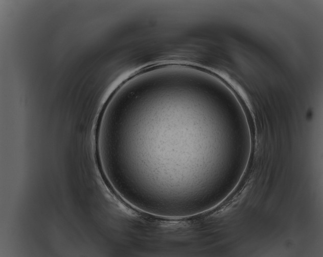 X0000095691341200801151140
