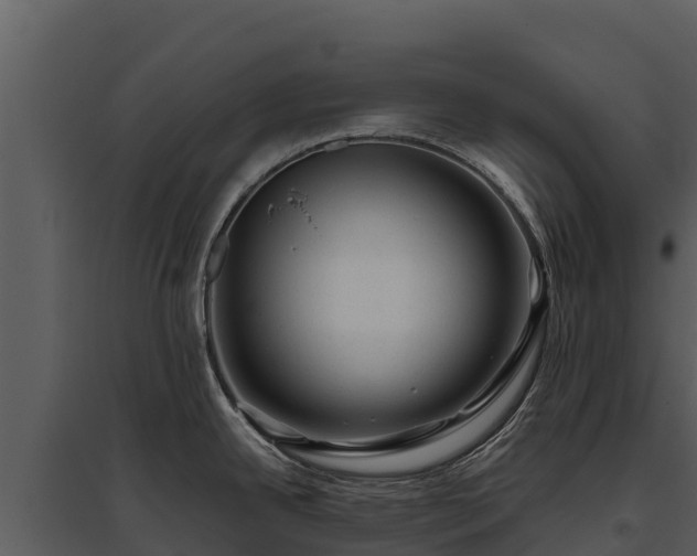 X0000095691342200801151140