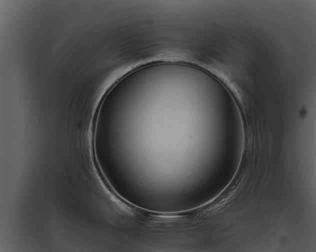 X0000095691343200801151140