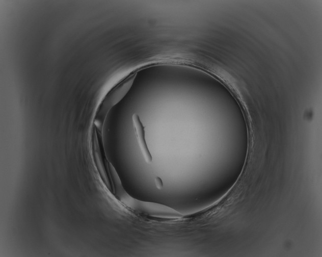 X0000095691344200801151140