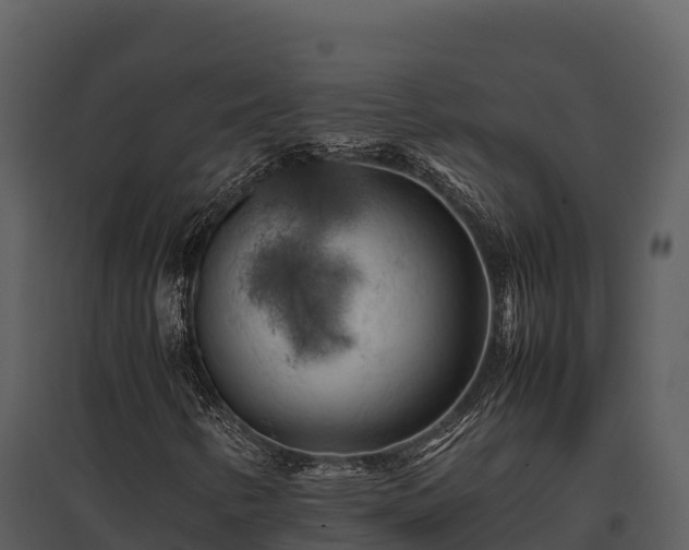 X0000095691346200801151139