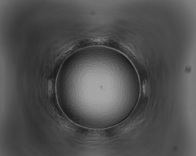 X0000095691347200801151139