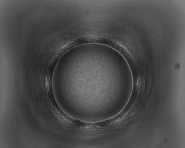X0000095691348200801151139