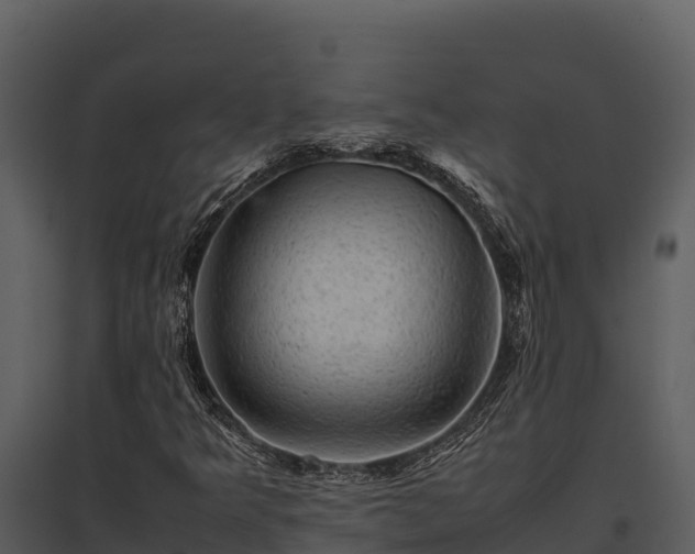 X0000095691349200801151139