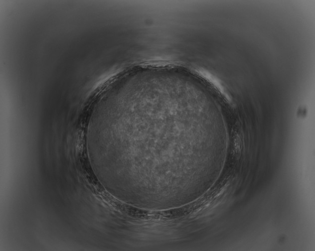 X0000095691350200801151139