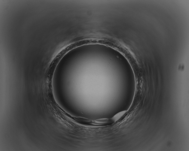 X0000095691352200801151139