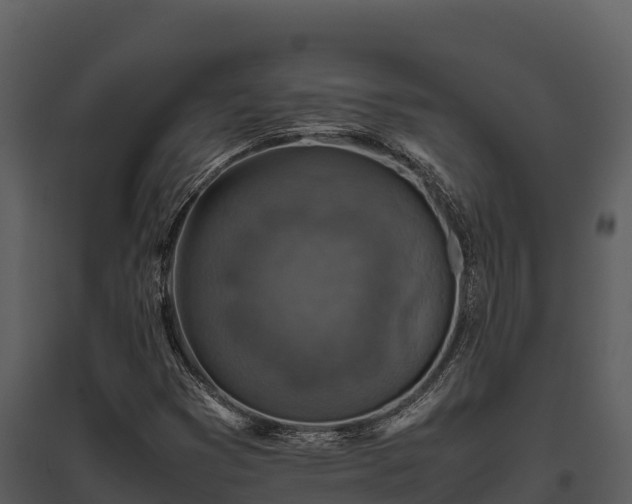 X0000095691353200801151139