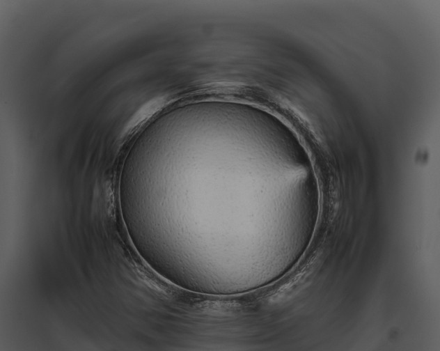 X0000095691354200801151139