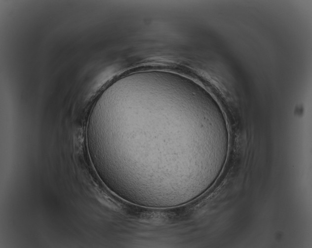 X0000095691355200801151139