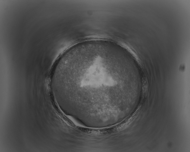 X0000095691357200801151139
