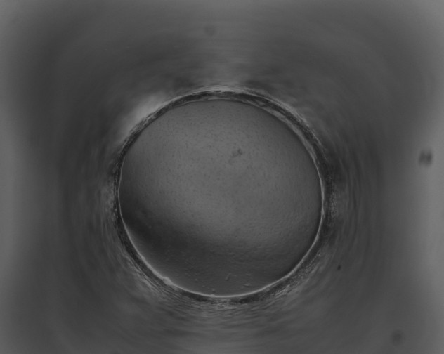 X0000095691359200801151139