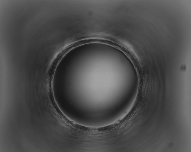 X0000095691360200801151139