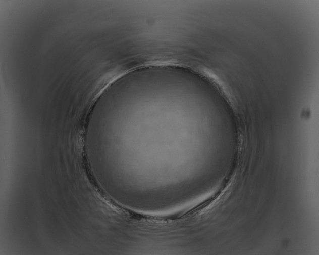 X0000095691361200801151139