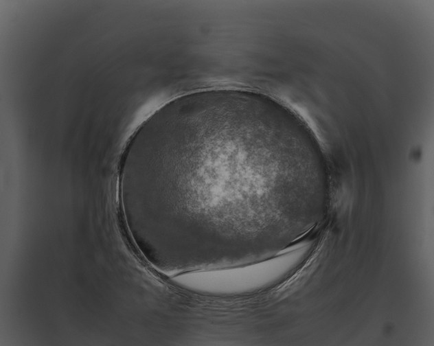 X0000095691365200801151139