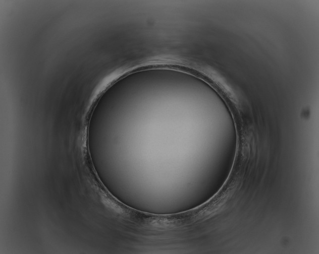 X0000095691366200801151139