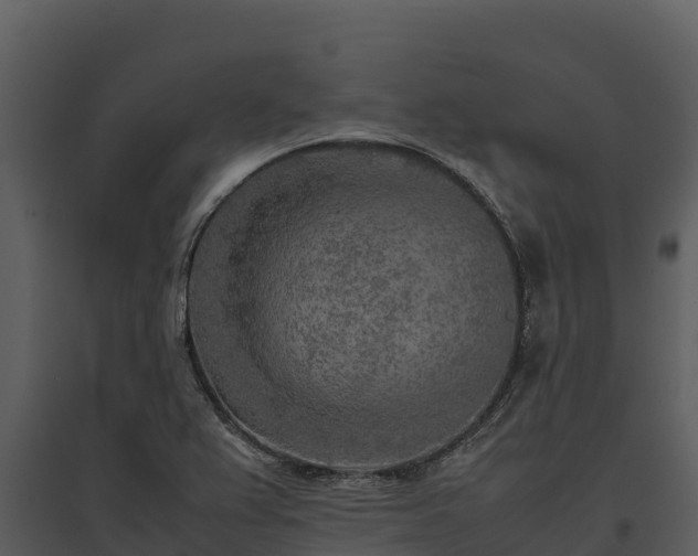 X0000095691367200801151139
