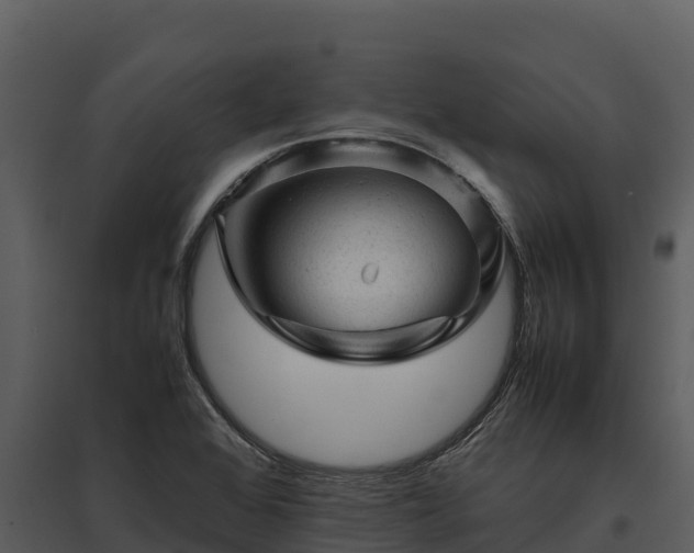 X0000095691368200801151139