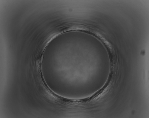 X0000095691369200801151139