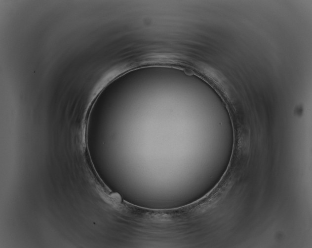 X0000095691370200801151139