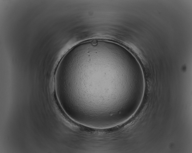 X0000095691371200801151139