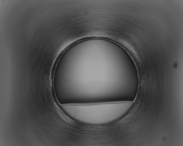 X0000095691372200801151139