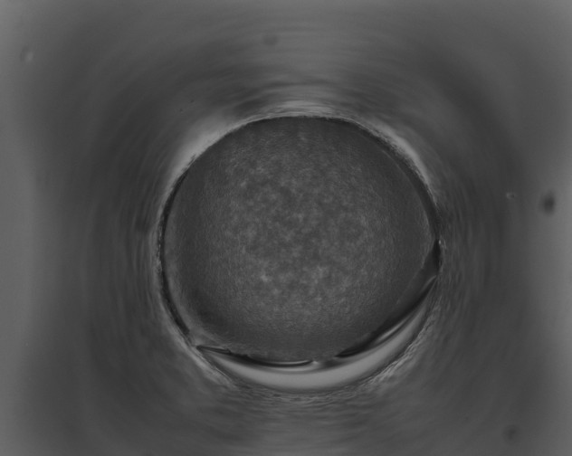 X0000095691373200801151139