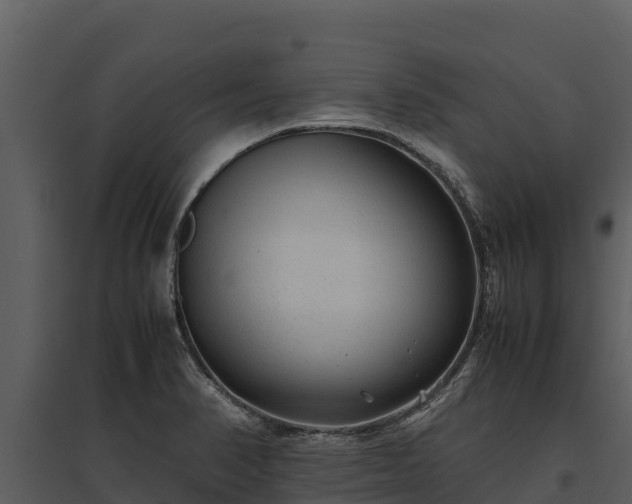 X0000095691374200801151139