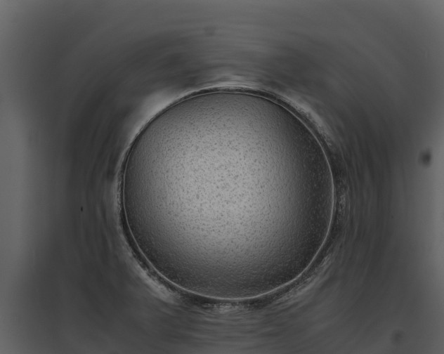 X0000095691375200801151139