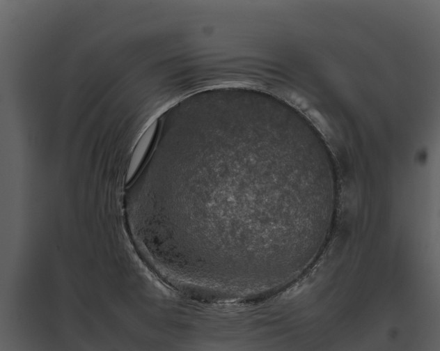 X0000095691377200801151139