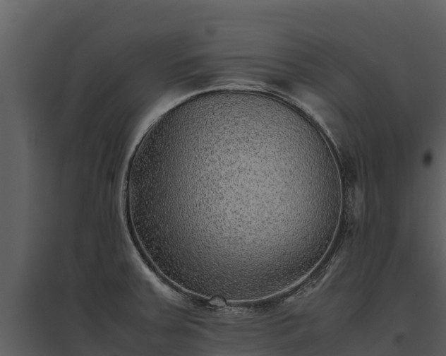 X0000095691379200801151139