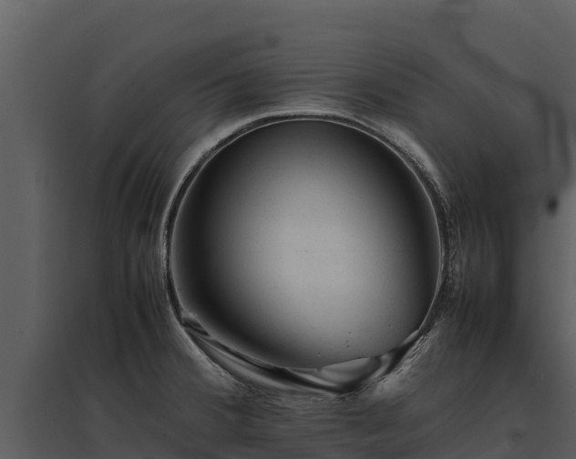 X0000095691380200801151139