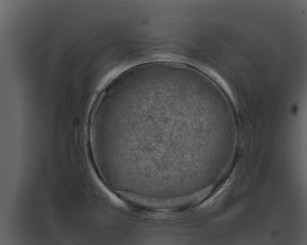 X0000095691381200801151138